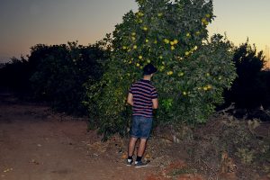 Маса — Аянот