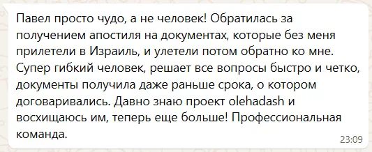 Отзыв Елены С. о помощи оформлением апостиля в Израиле на справку из МВД в 2025 году